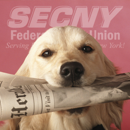 SECNY News & Events