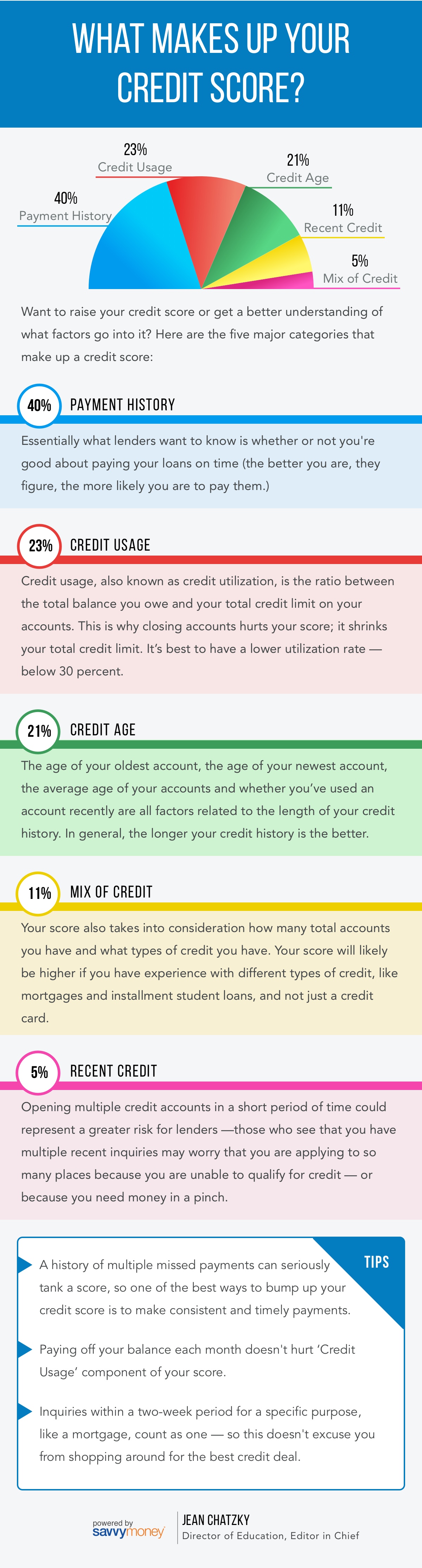 What Makes Up Your Credit Score infographic image
