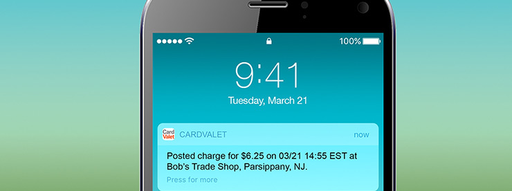 CardValet Alert message on a cell phone header image