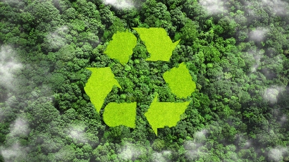 about our syracuse credit union going green panel recycling logo on forest