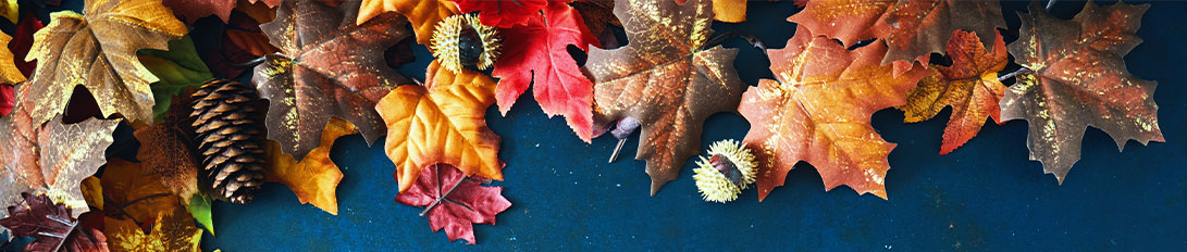 Fall Foliage