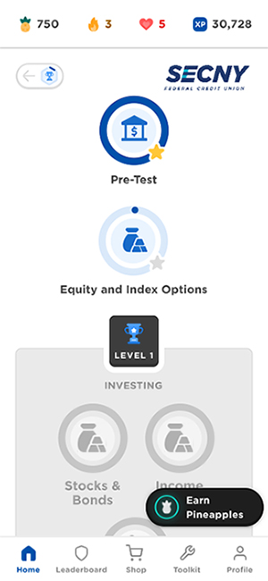 unlock your financial potential near syracuse ny image of earn pineapples stocks and bonds income investing level 1 equity and index options pre-test for secny federal credit union zogo app