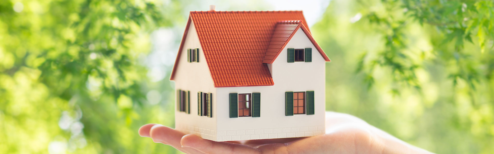 House, mortgage, dreams, garden, leaves